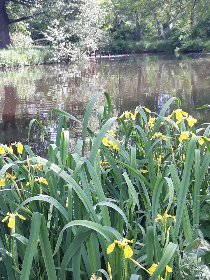 20190525_124216.jpg - Floria333