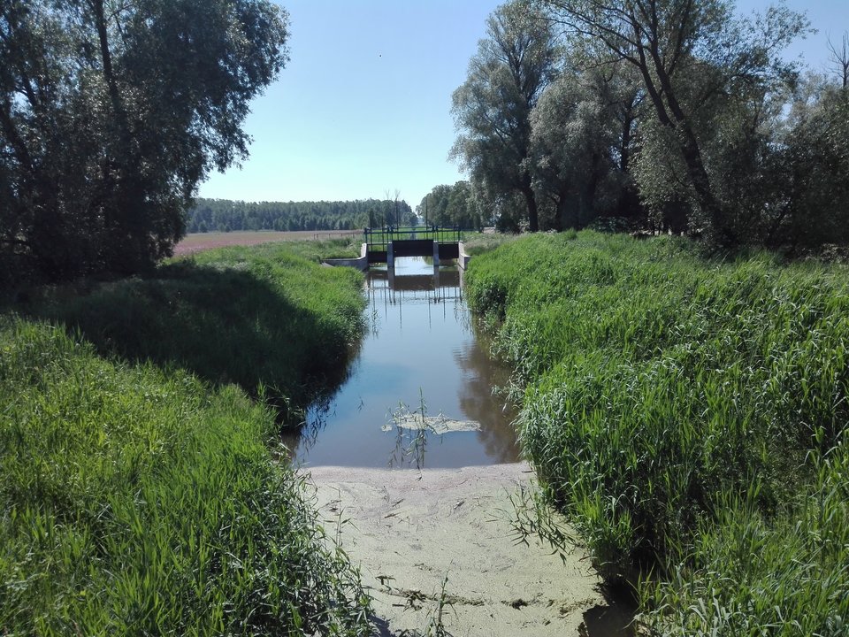 IMG_20190603_110656.jpg - Mich1977