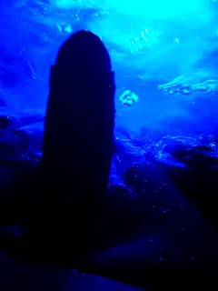 Czas  zarzucić wędkę  może jakaś rybka się skusi?