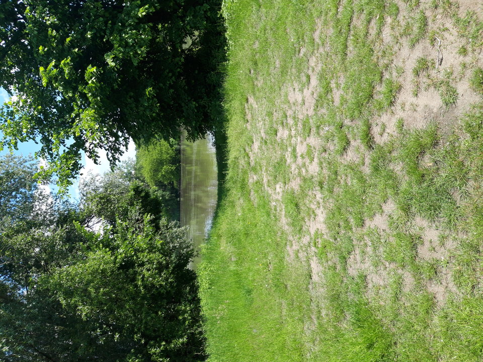20190602_115608.jpg - Piertov