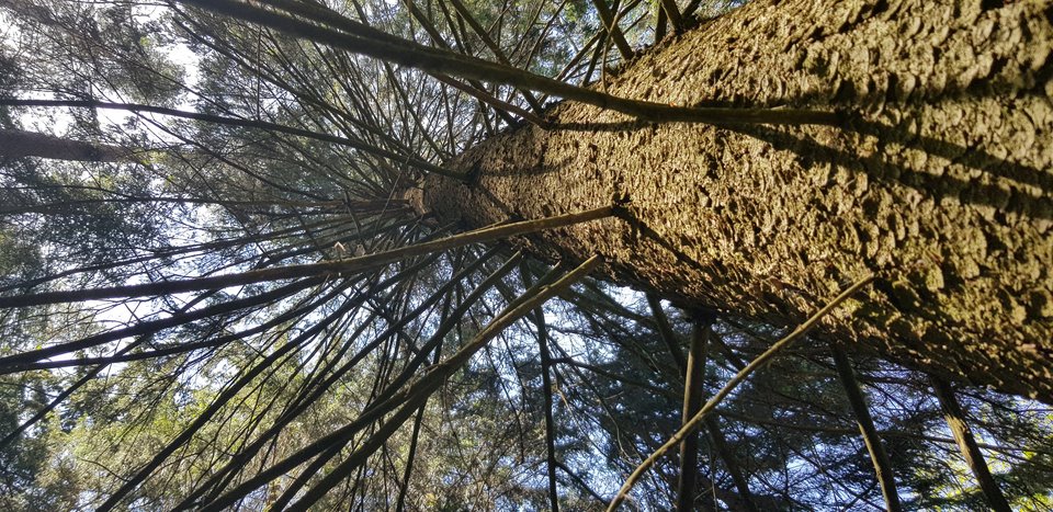 20190601_122951.jpg - Marczak84