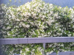 To wszystko przez https://zbiornik.com/Odrealnniona