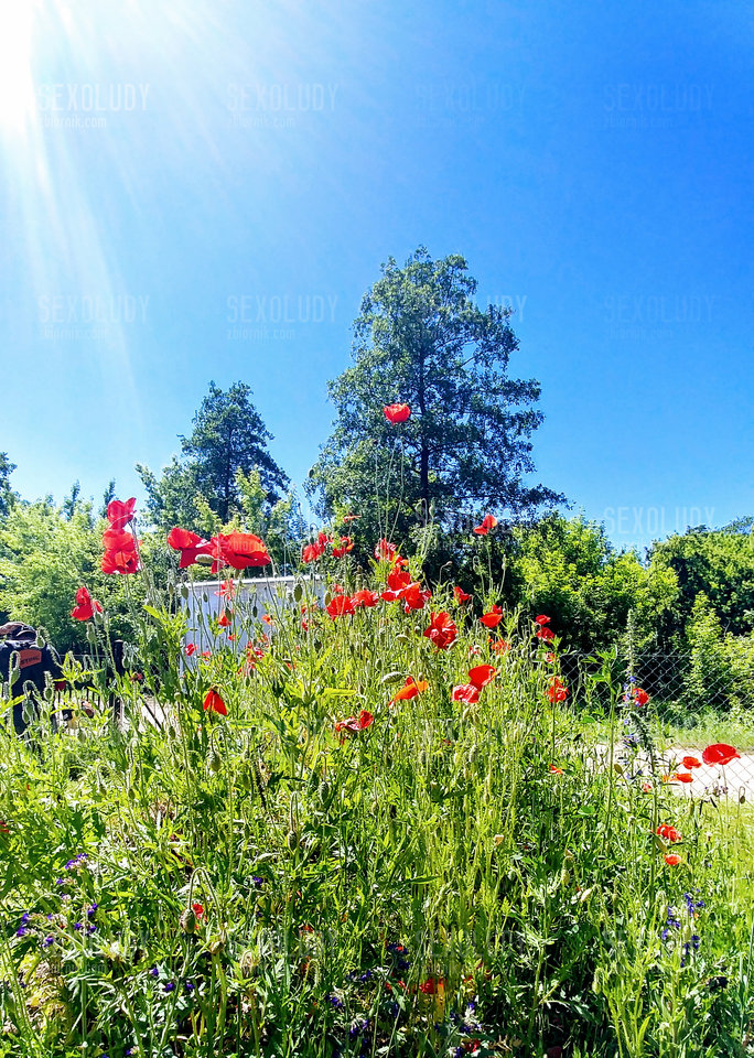 Pikny kontrast .jpg - Sexoludy