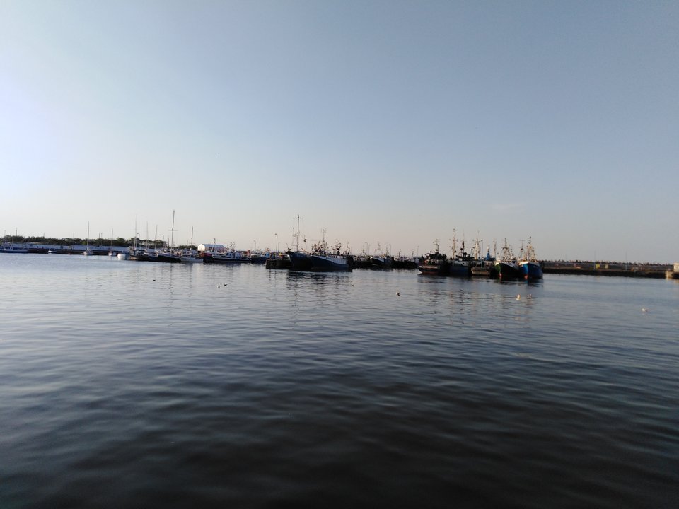 IMG_20190604_193815.jpg - Przemodkl79