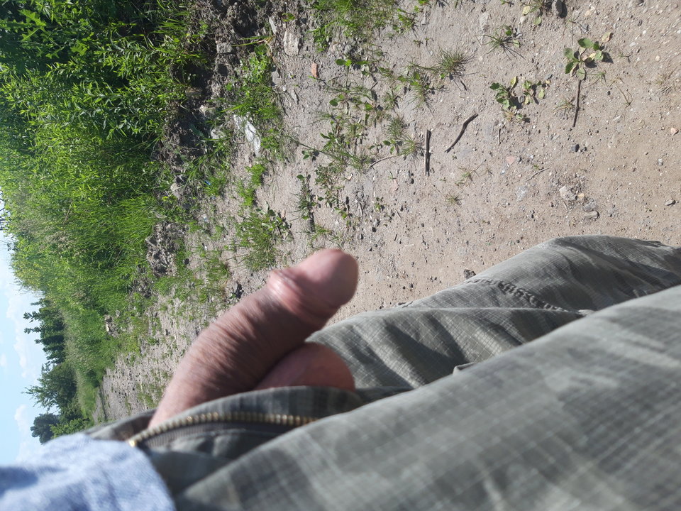 20190605_115449.jpg - Piertov