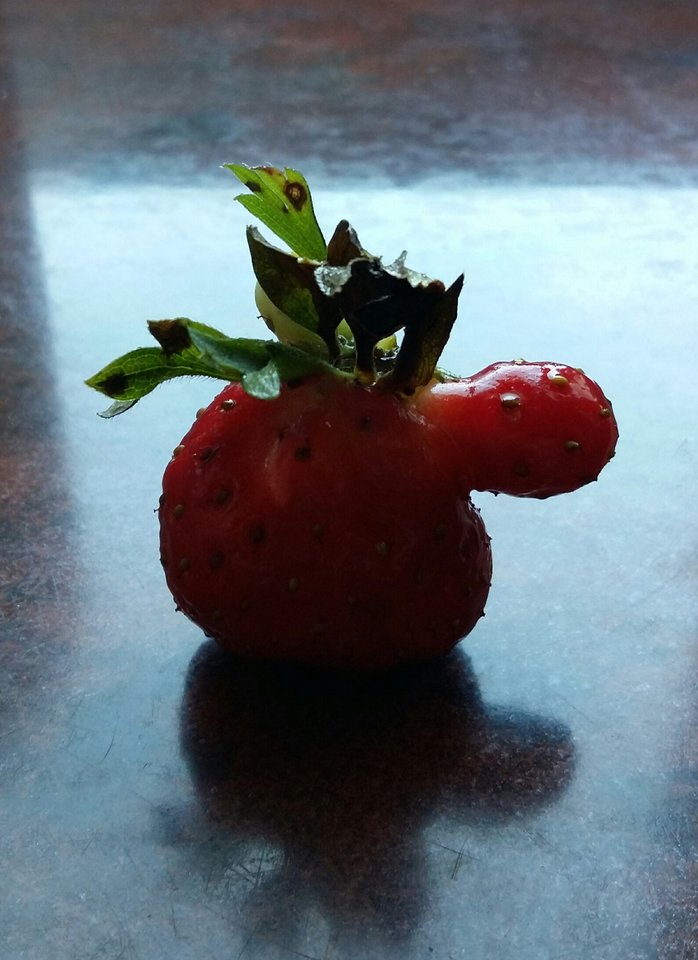 I co to ! - Nikt_taki