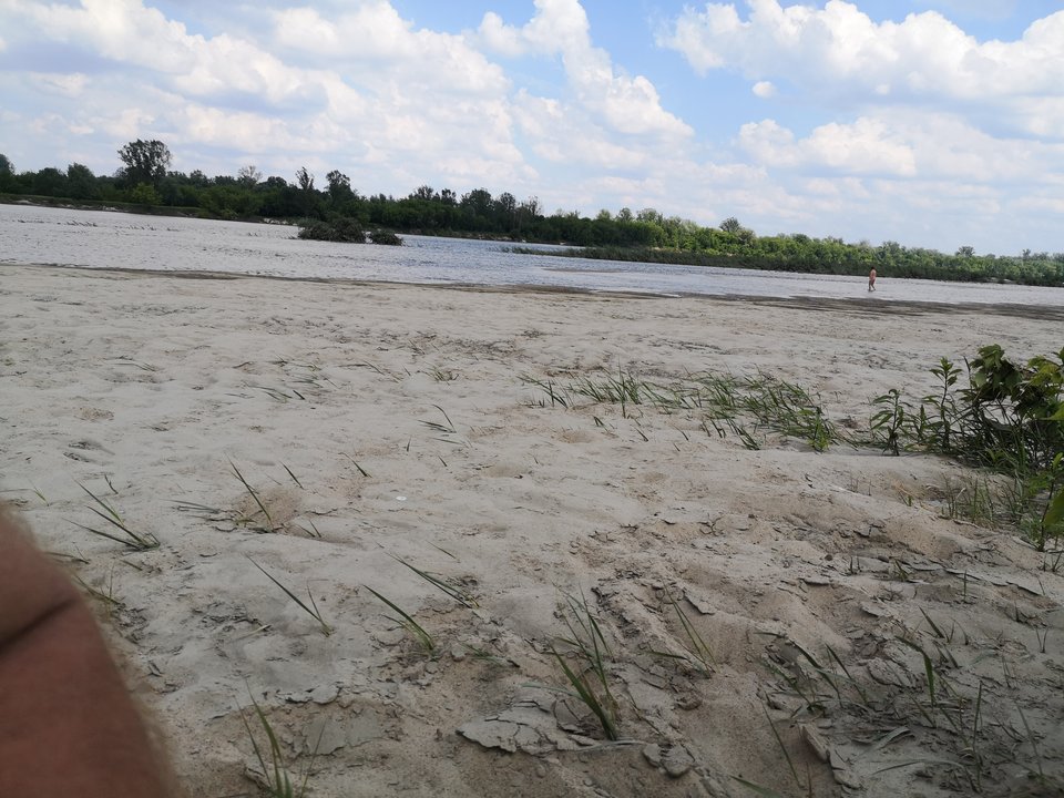 2019-06-06 13.22.31.jpg - tom6970