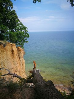 Morza szum ptaków śpiew 😜