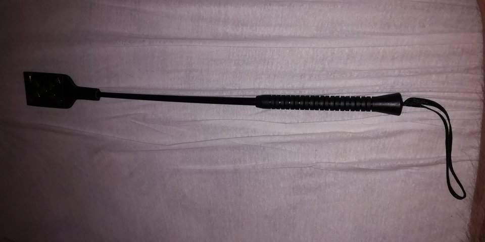 IMG_20190608_005843.jpg - bdsmuleglypies