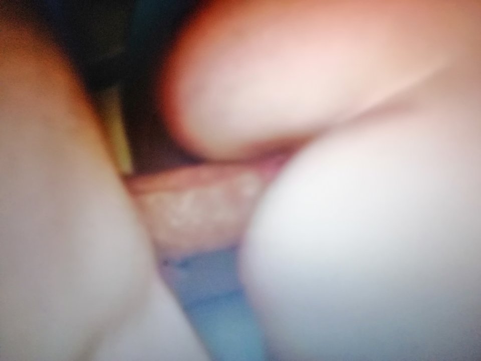 IMG_20190608_055753.jpg - 12jm