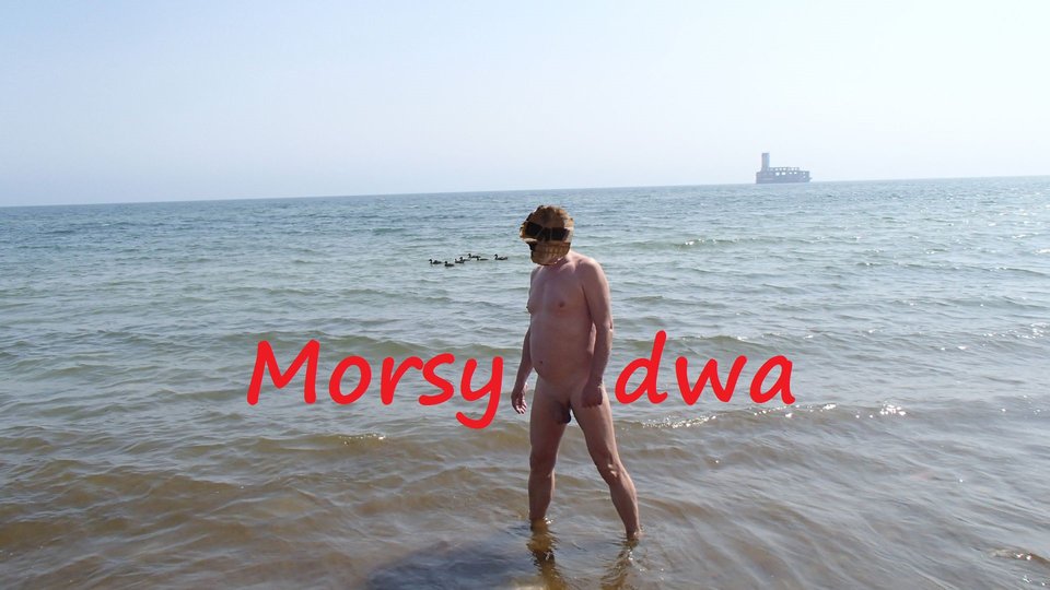 Plaża. - Morsy_dwa
