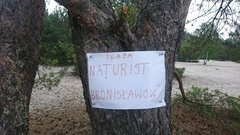 Bronisławów Golesze