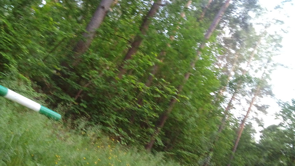 Ulubiony lasek na plenerek - Perun77