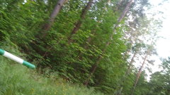 Ulubiony lasek na plenerek