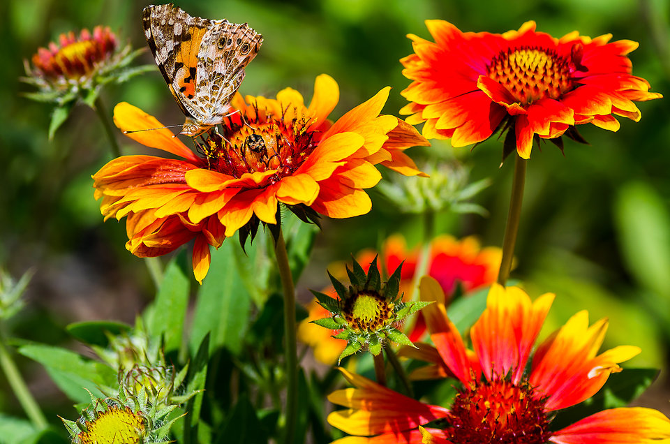 Ciepły widok - mystic