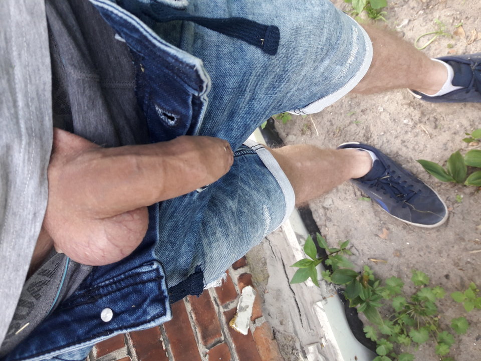 15600098520003122992010475567695.jpg - Adamadam78