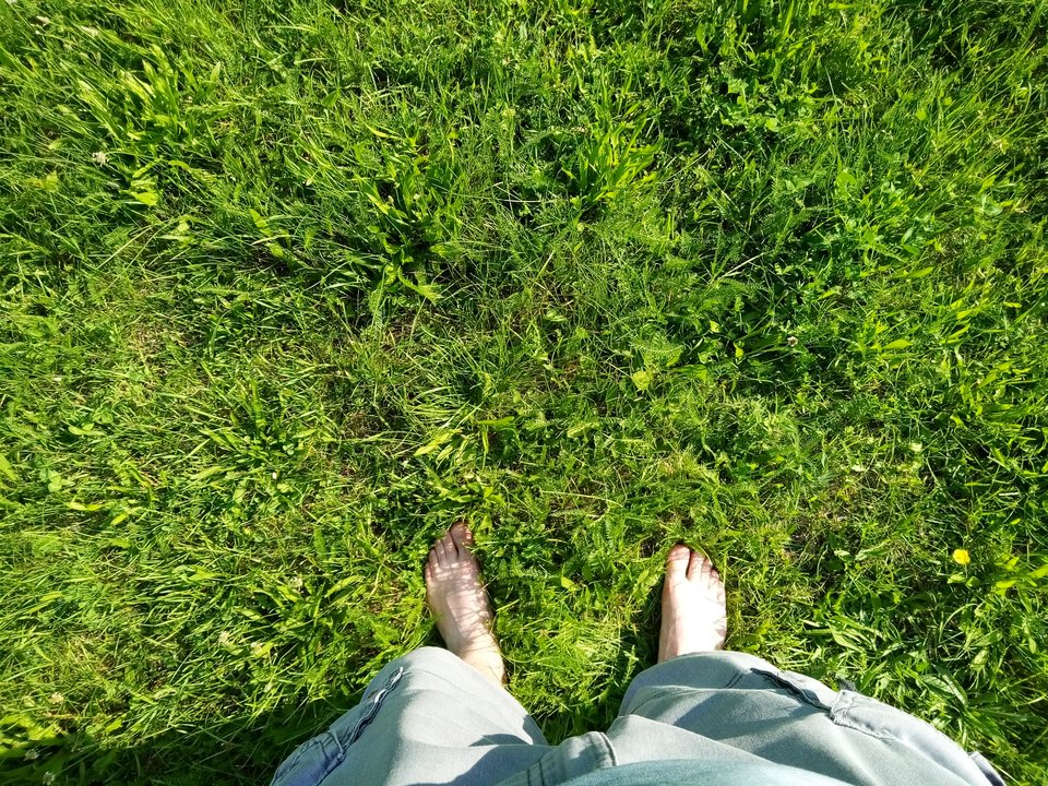 po suszy - Diamond_stud