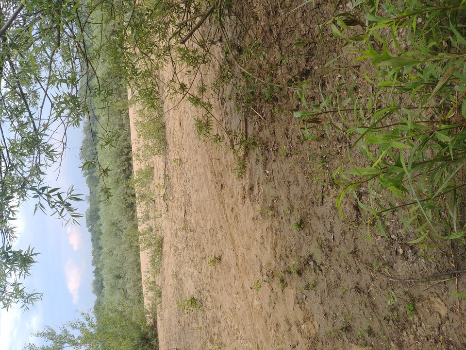 20190608_144802.jpg - paraka81