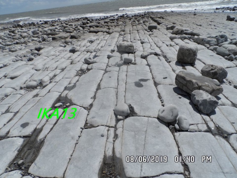 SAM_2005a.jpg - ika13