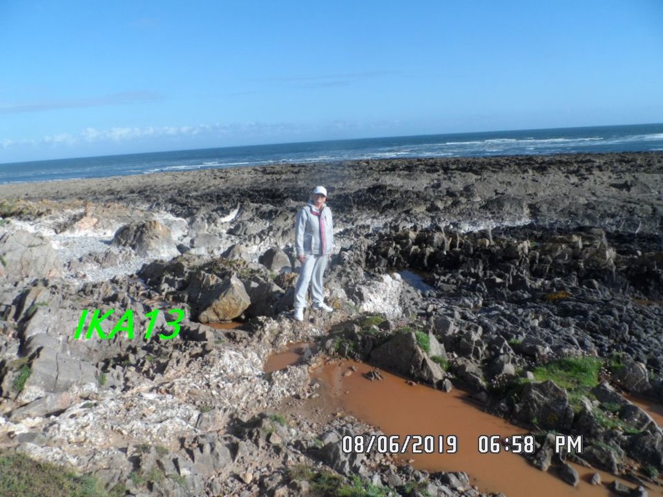 SAM_2021a.jpg - ika13