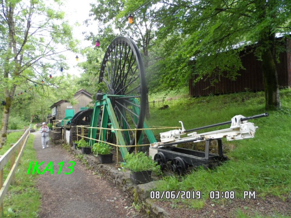 SAM_2007a.jpg - ika13