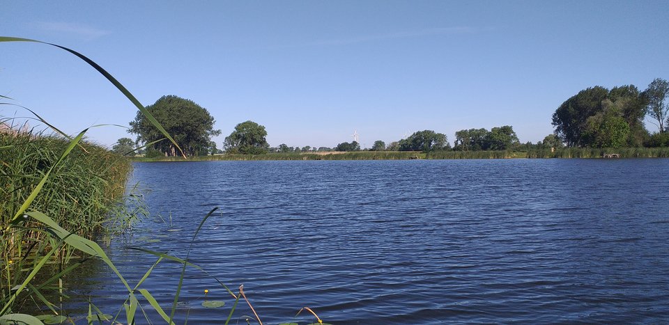 20190609_083144.jpg - blackhorseszcz