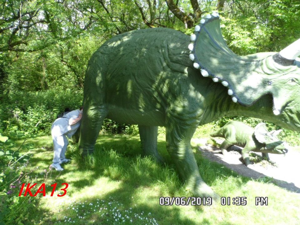 SAM_2049a.jpg - ika13