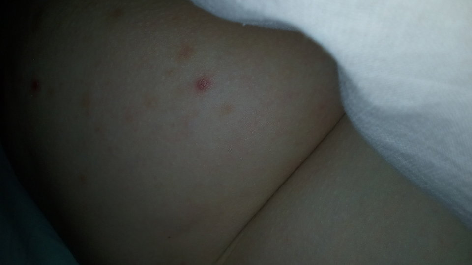 IMG_20190610_042708.jpg - DajeWam