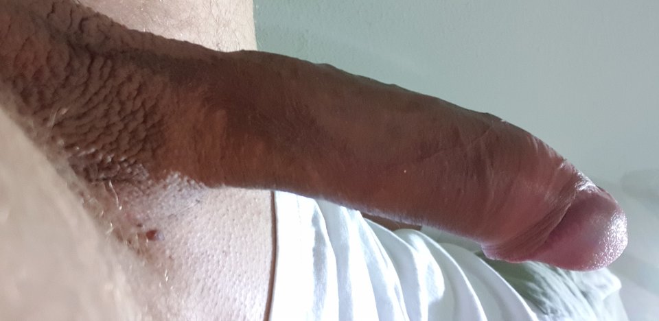 15601603201837766273602194544478.jpg - Kylux