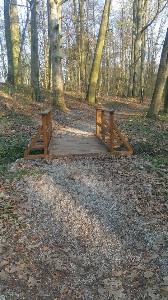 20190421_180434.jpg - reporter13