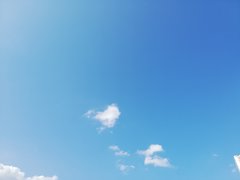 IMG_20190610_164854.jpg