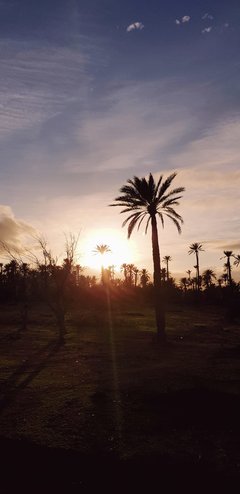 IMG-20181126-WA0001.jpg