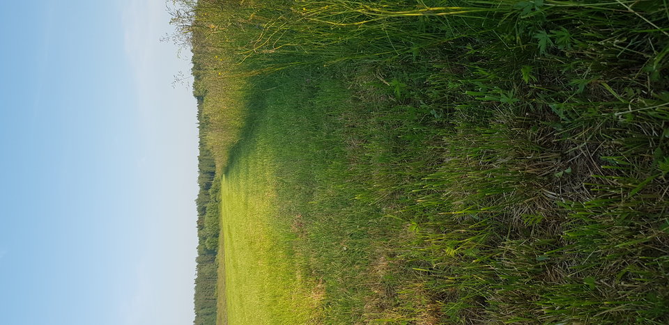 20190610_190106.jpg - Marczak84