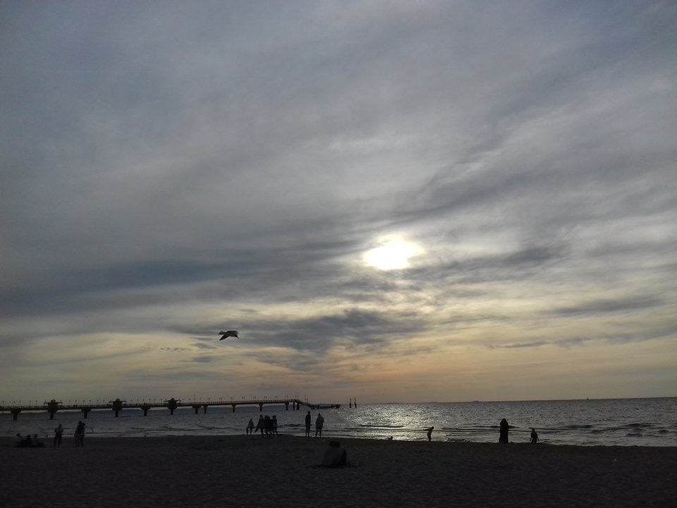 20190609_194010.jpg - torii99