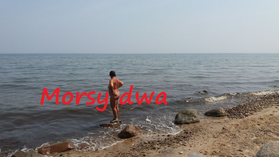 Nad morzem. - Morsy_dwa