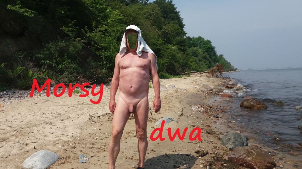 Nad morzem. - Morsy_dwa