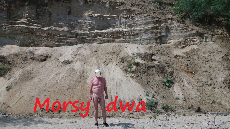 Nad morzem. - Morsy_dwa