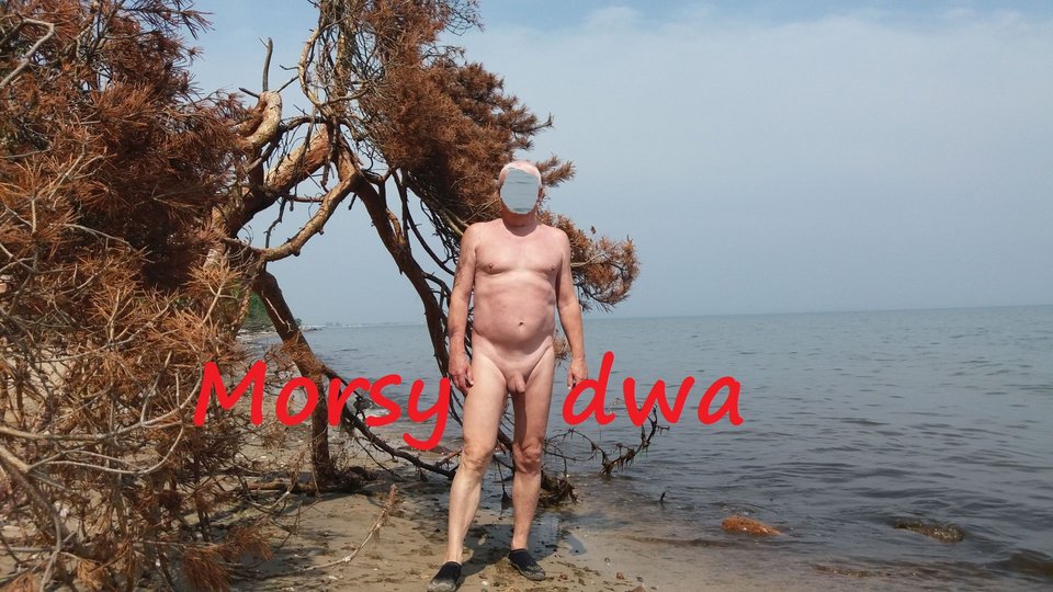 Nad morzem. - Morsy_dwa