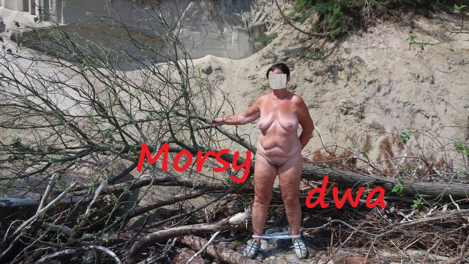 Nad morzem. - Morsy_dwa