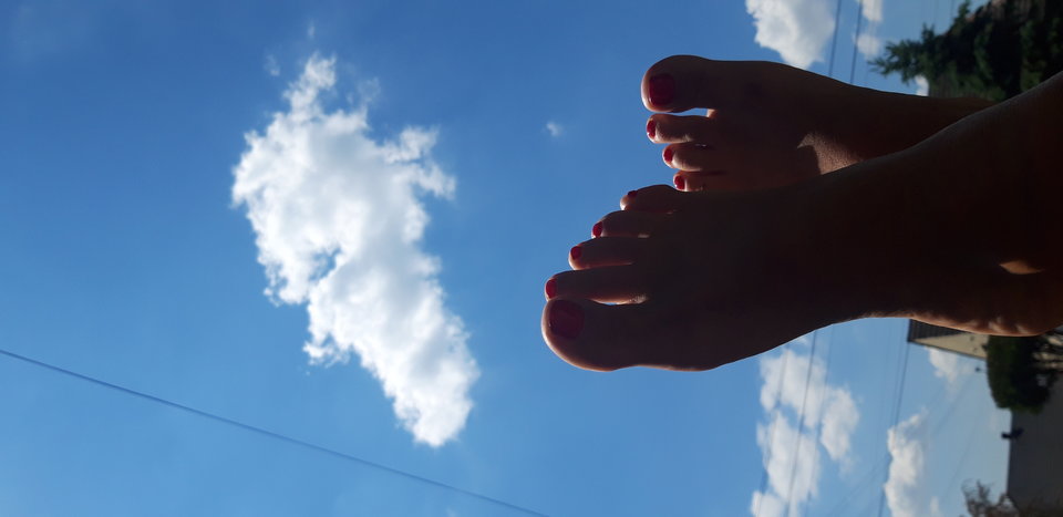 20190605_123227.jpg - alexs6688