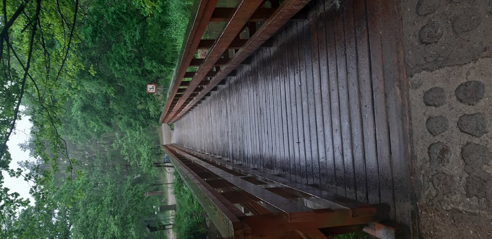 20190613_134748.jpg - rufi27