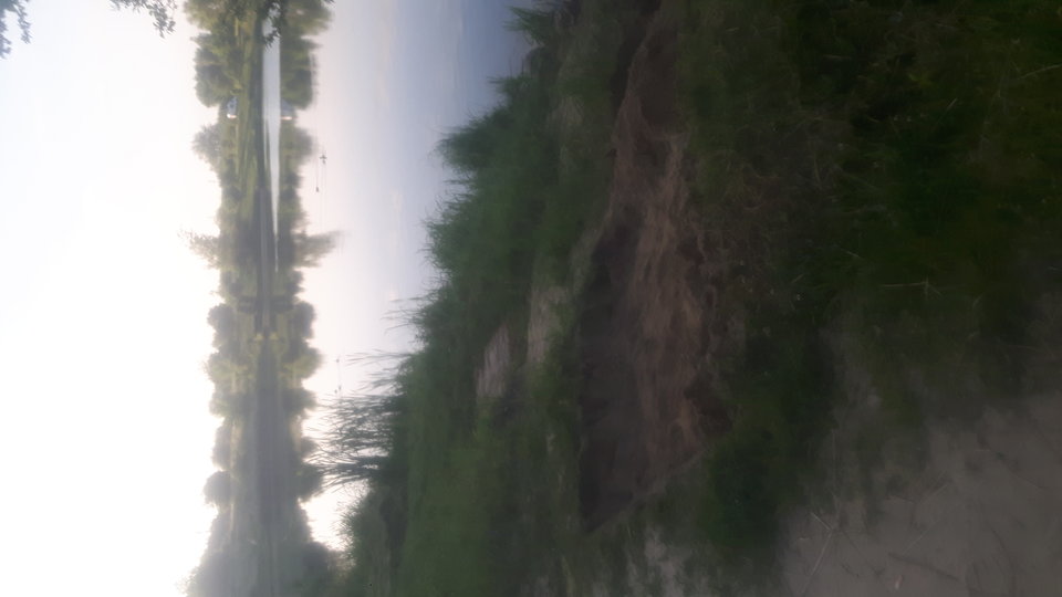 20190609_061339.jpg - zbokolec