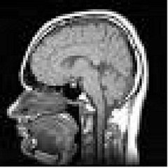 Facet też ma mózg;)