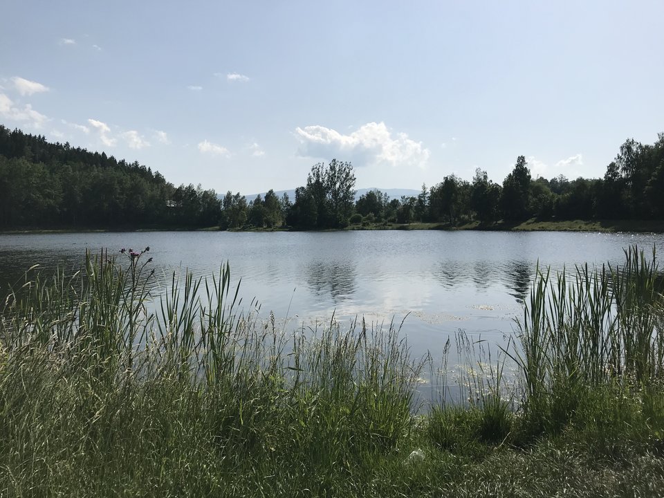 C5A6BEBE-96A4-4EE5-AF38-8338A87F68CA.jpeg - swingersparkajg