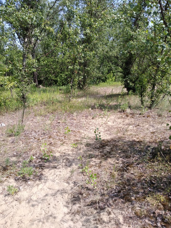 15605887858313107455114162993247.jpg - wawamybi