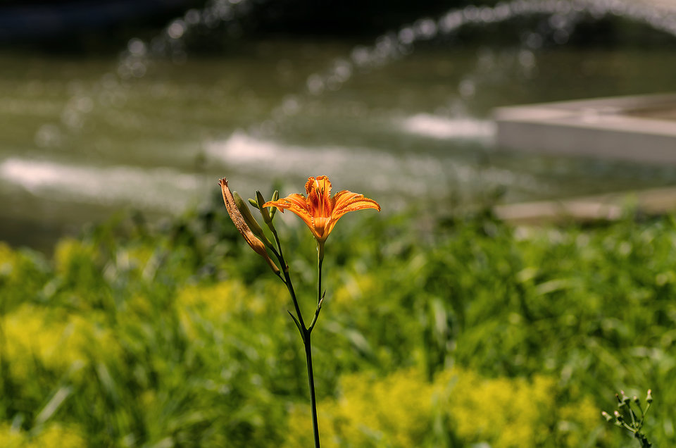 Z fontanną w tle - mystic