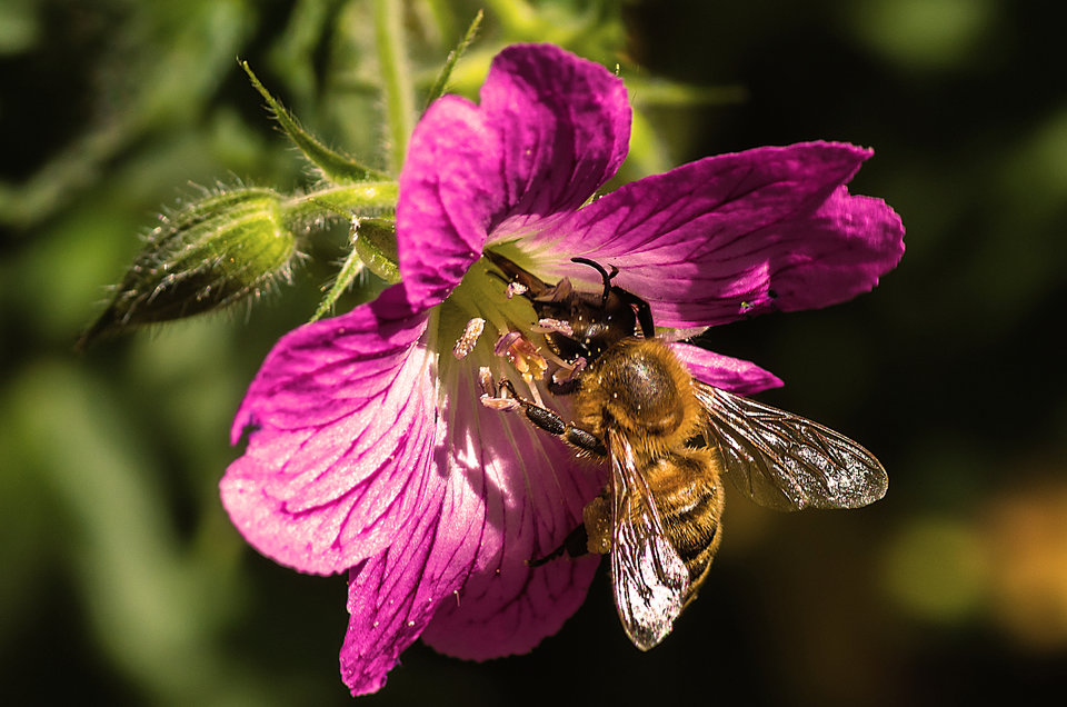 Kolejna sobota i robota... - mystic