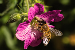 Kolejna sobota i robota...