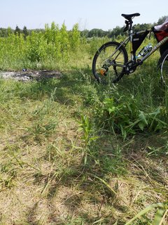 2019-06-15 14.19.22.jpg