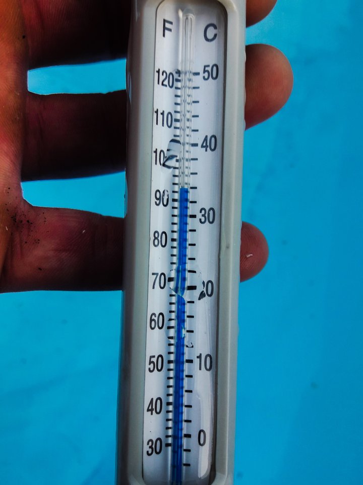 Tropiki hihi.jpg - Arczi38